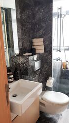 Skypark @ Somerset (D9), Apartment #357207761